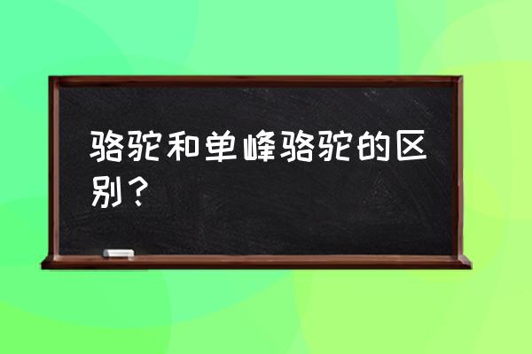 单峰骆驼和双峰骆驼 骆驼和单峰骆驼的区别？