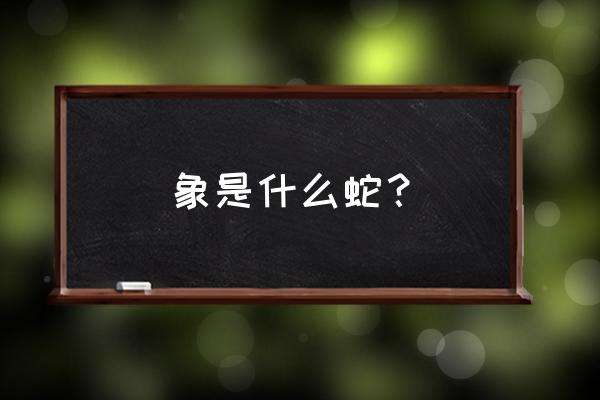 虎斑游蛇多少钱一条 象是什么蛇？