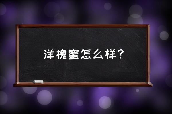 洋槐蜜显著功效 洋槐蜜怎么样？