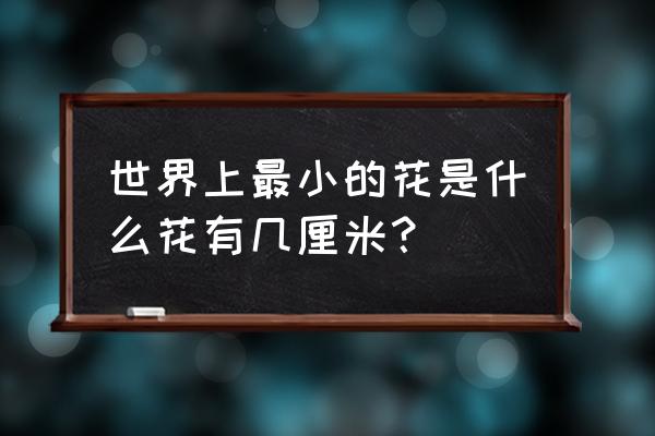 世界上最大的花和最小的花 世界上最小的花是什么花有几厘米？