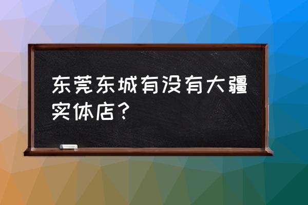 莞城地王广场地址 东莞东城有没有大疆实体店？