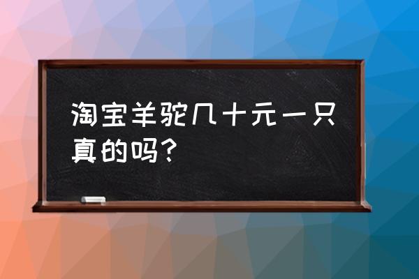 羊驼幼崽多少钱一只 淘宝羊驼几十元一只真的吗？