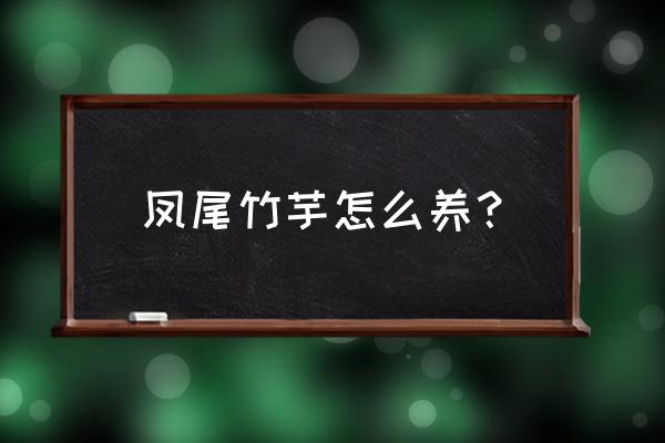 凤尾竹芋的养殖方法 凤尾竹芋怎么养？