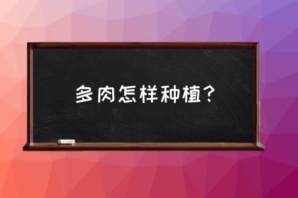 怎样种多肉 种植方法 多肉怎样种植？