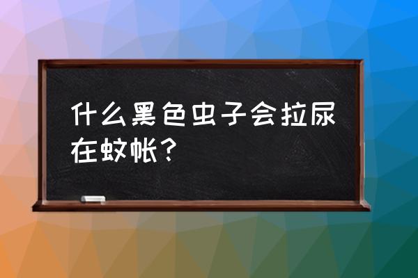 蚰蜒是什么东西 什么黑色虫子会拉尿在蚊帐？