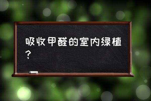 清除甲醛的绿植有哪些 吸收甲醛的室内绿植？