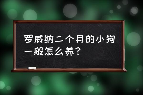 小型罗威纳犬 罗威纳二个月的小狗一般怎么养？