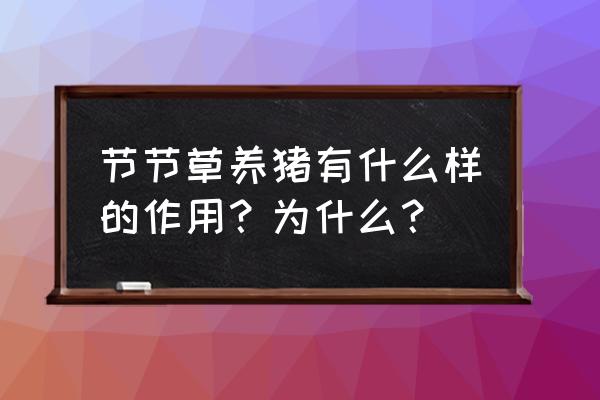 节节草有什么用处 节节草养猪有什么样的作用？为什么？