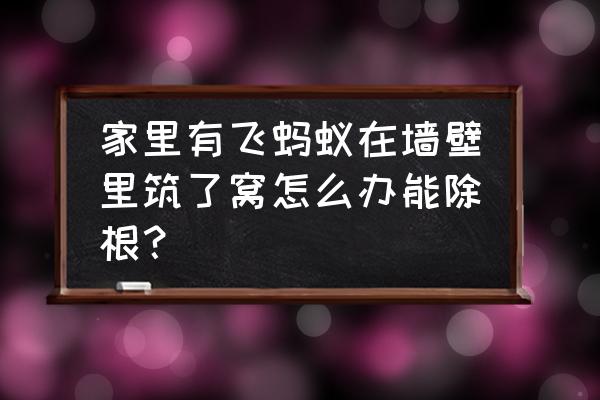 家里有飞的蚂蚁怎么彻底消除 家里有飞蚂蚁在墙壁里筑了窝怎么办能除根？