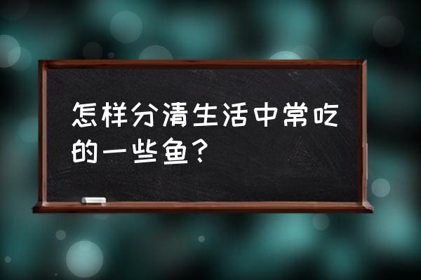 看图识鱼教你区分各种相似的鱼 怎样分清生活中常吃的一些鱼？