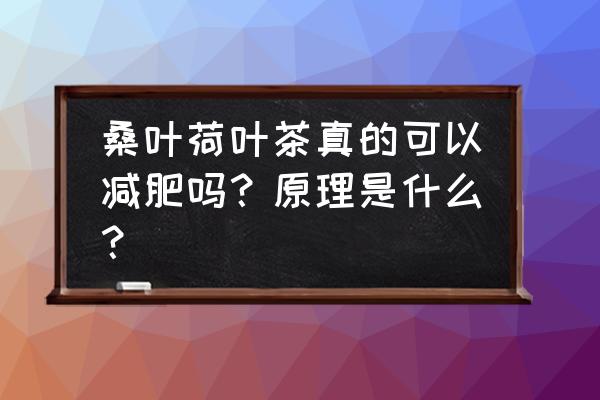 喝哪种茶瘦得最快 桑叶荷叶茶真的可以减肥吗？原理是什么？