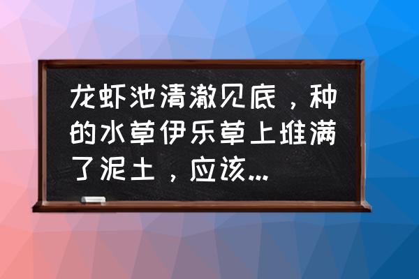 水草泥加水后特别黑怎么办 龙虾池清澈见底，种的水草伊乐草上堆满了泥土，应该怎么办？