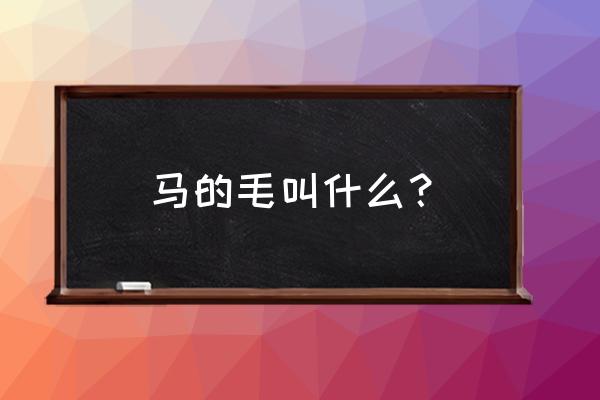 怎么区分鬣狗的公母 马的毛叫什么？