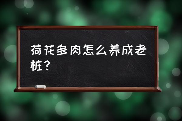 多肉变老桩最快的方法 荷花多肉怎么养成老桩？