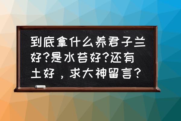 盆栽君子兰用什么土最好 到底拿什么养君子兰好?是水苔好?还有土好，求大神留言？