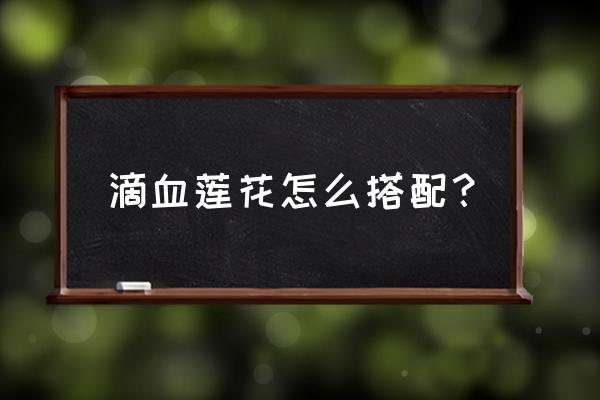 滴血莲花如何上油 滴血莲花怎么搭配？