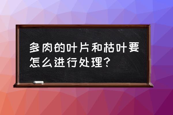 多肉越养叶子越瘦怎么办 多肉的叶片和枯叶要怎么进行处理？