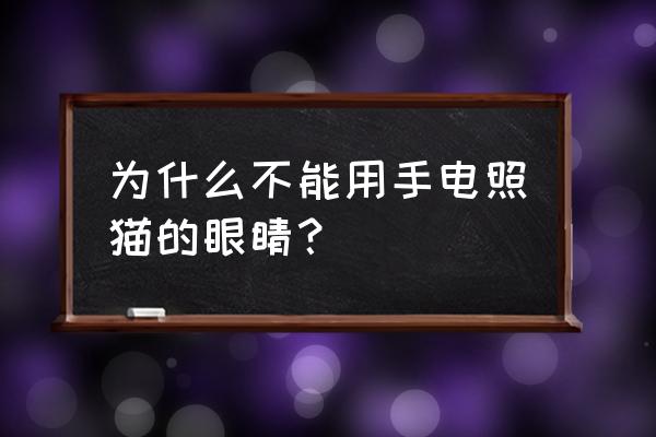 防止强光伤害眼睛的有效方法 为什么不能用手电照猫的眼睛？