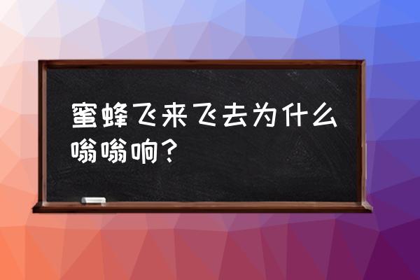 蜜蜂为什么会发出嗡嗡嗡的声音 蜜蜂飞来飞去为什么嗡嗡响？