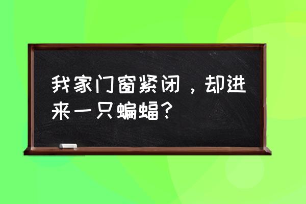 家里门窗紧闭蝙蝠怎么进来的 我家门窗紧闭，却进来一只蝙蝠？