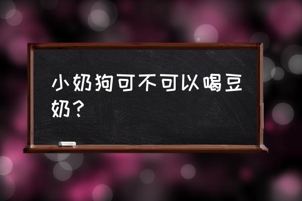 幼儿豆奶吃多了有什么危害 小奶狗可不可以喝豆奶？