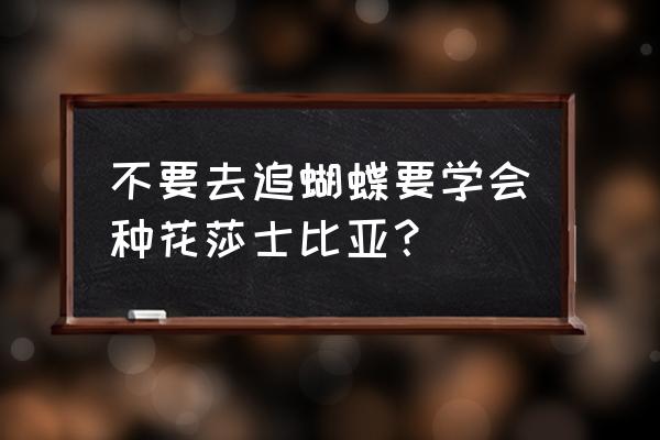 怎么才能学会养花 不要去追蝴蝶要学会种花莎士比亚？