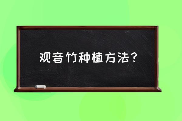 冬天适合养观音竹吗 观音竹种植方法？