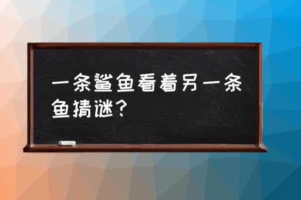 有的鲨鱼在海底为什么眼睛在哪边 一条鲨鱼看着另一条鱼猜谜？