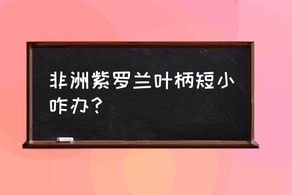 紫罗兰醒花需剪去根部吗 非洲紫罗兰叶柄短小咋办？