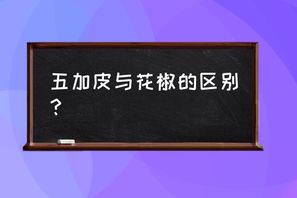 新鲜五加皮根怎么吃 五加皮与花椒的区别？