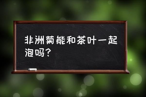 杭菊和枸杞泡水喝的功效 非洲菊能和茶叶一起泡吗？