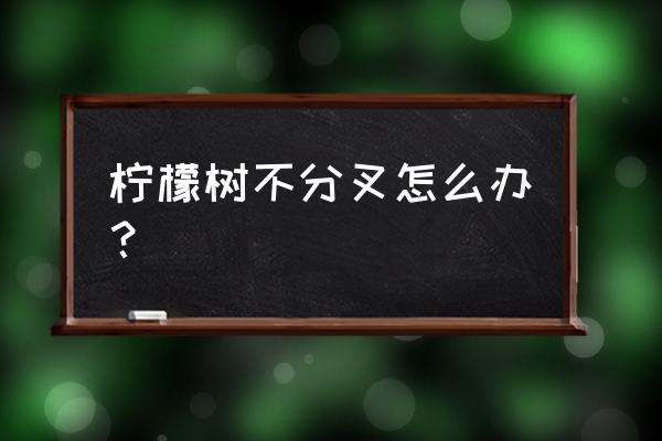 柠檬树只开花不长新叶怎么办 柠檬树不分叉怎么办？