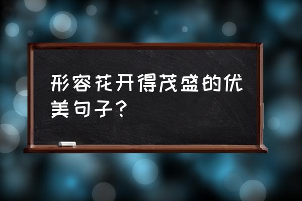 形容各种花开得很美的唯美句子 形容花开得茂盛的优美句子？