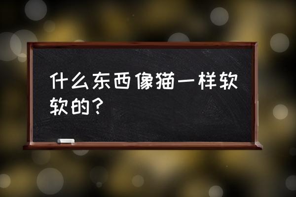 兔狲凶猛吗 什么东西像猫一样软软的？