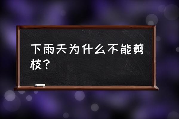 雨天工地上要注意哪些 下雨天为什么不能剪枝？