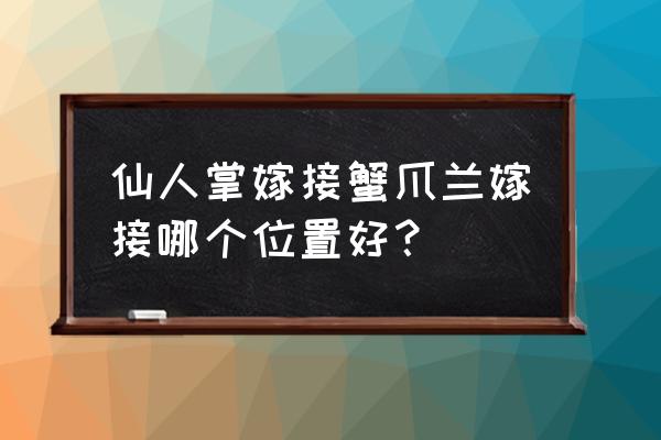 蟹爪兰嫁接的好还是不嫁接的好 仙人掌嫁接蟹爪兰嫁接哪个位置好？