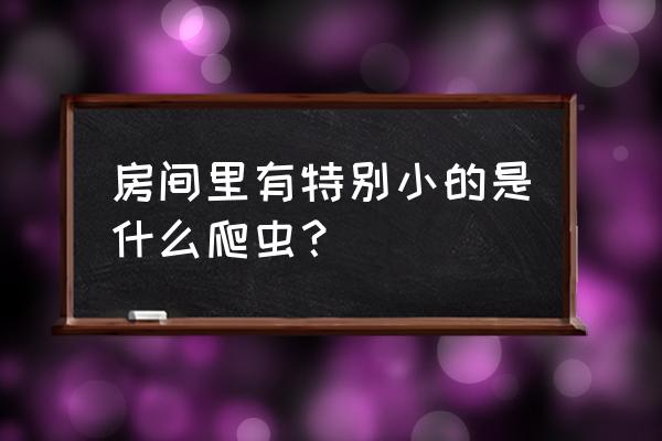 家里卧室怎么有跳虫 房间里有特别小的是什么爬虫？