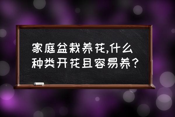 3种花堪称居家必备 家庭盆栽养花,什么种类开花且容易养？