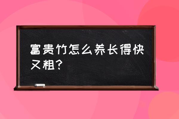 富贵竹怎么养得又直又粗 富贵竹怎么养长得快又粗？