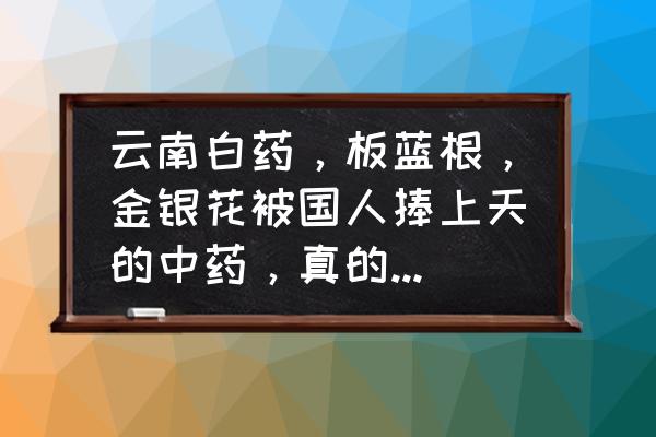 真正消炎药是哪些 云南白药，板蓝根，金银花被国人捧上天的中药，真的有效吗？