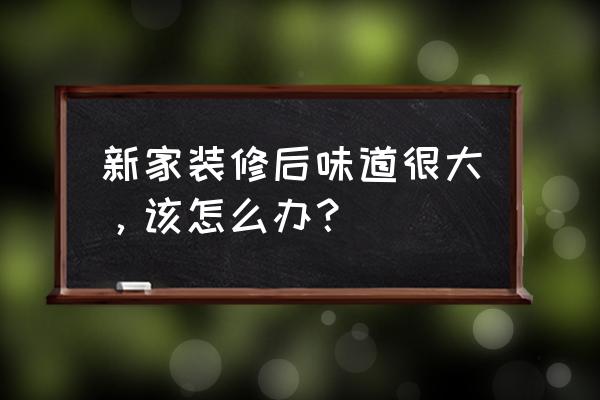 装修污染的十大征兆 新家装修后味道很大，该怎么办？