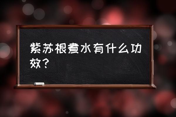 紫苏煮鸡蛋是保胎的吗 紫苏根煮水有什么功效？