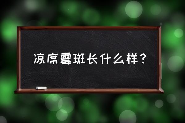 竹凉席发霉了该怎么去清理霉斑 凉席霉斑长什么样？