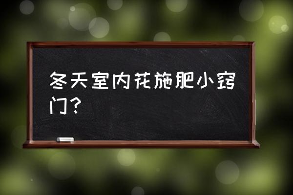 冬天瓜叶菊的养殖方法和注意事项 冬天室内花施肥小窍门？