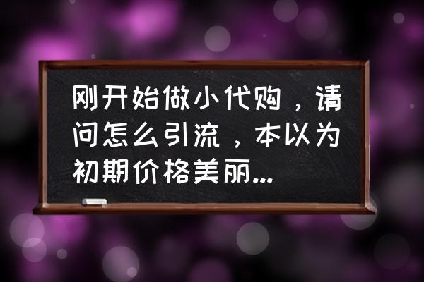 新手做代购具体步骤 刚开始做小代购，请问怎么引流，本以为初期价格美丽态度也好就可以了，可是没人加呀？