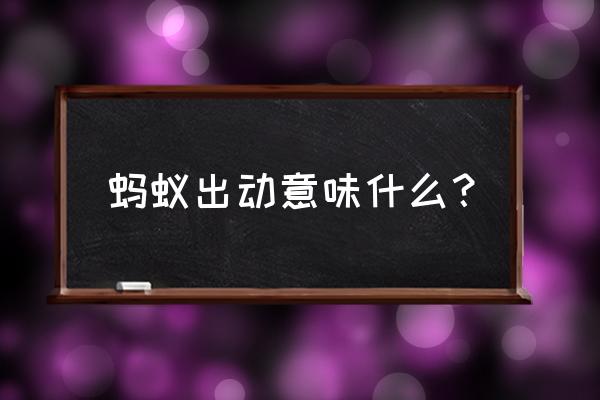 小蚂蚁家园游戏攻略 蚂蚁出动意味什么？