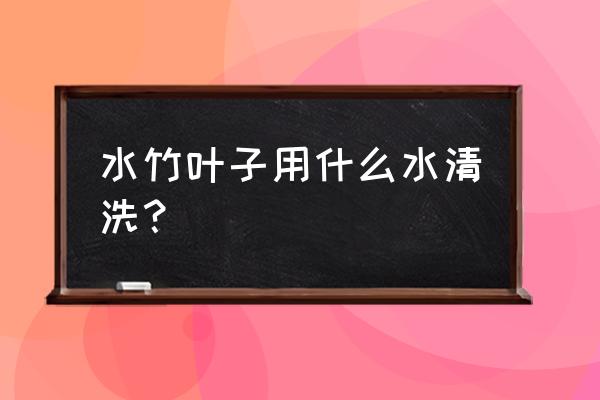 怎么养水竹不黄叶 水竹叶子用什么水清洗？