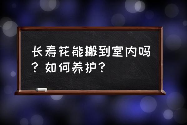 室内花卉辨认 长寿花能搬到室内吗？如何养护？