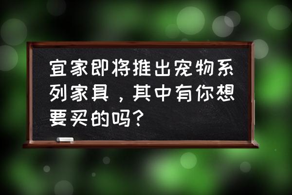 怎样用雪糕棍制作家具 宜家即将推出宠物系列家具，其中有你想要买的吗？