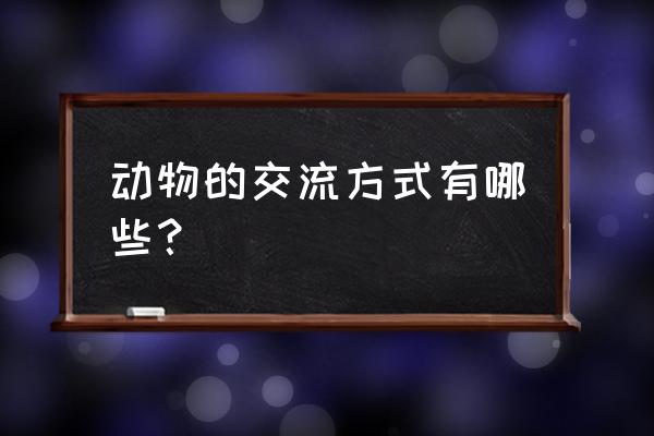 海洋里动物的活动方法 动物的交流方式有哪些？